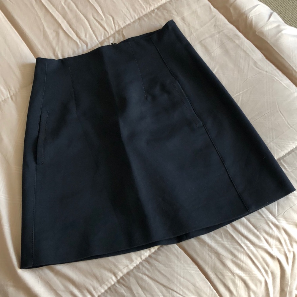 Zara Skirt